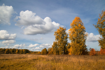 Fototapeta premium Beautiful autumn Sunny landscape with clouds.