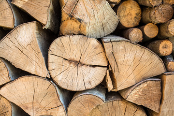 Naklejka premium Texture of the sawed logs as a background.