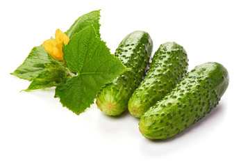 Homemade Freshly-salted Cucumbers with leaves, isolated on white background