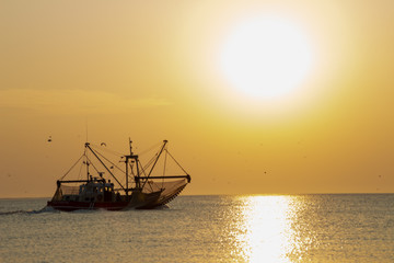 A fish trawler in the North Sea, Waddenzee at sunset