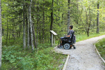 Happy man on wheelchair in nature. Exploring forest wilderness on an accessible dirt path.