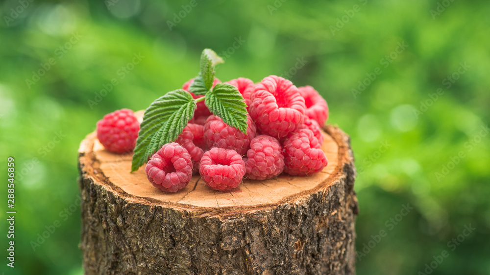 Wall mural Fresh and natural raspberry with leaf on a wood stump green garden