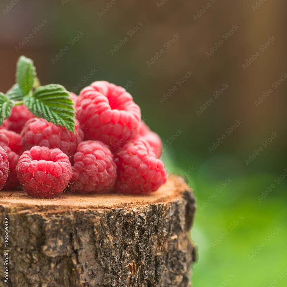 Wall mural Fresh and natural raspberry with leaf on a wood stump green garden