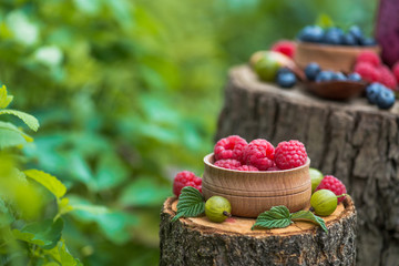 Forest berries gooseberry and raspberry on a stump in garden