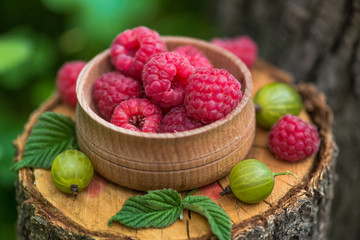 Forest berries gooseberry and raspberry on a stump in garden