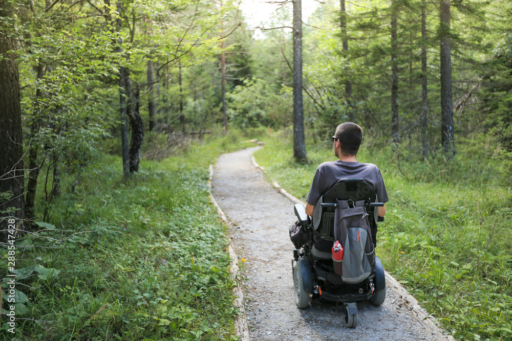 Wall mural Happy man on wheelchair in nature. Exploring forest wilderness on an accessible dirt path.