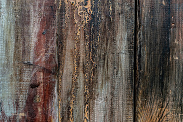 Obraz premium Wooden texture background. Old wood texture with scratches, lines and different cracks. Black, white and orange colours. Painted board. Board with different colours. Background for text or design