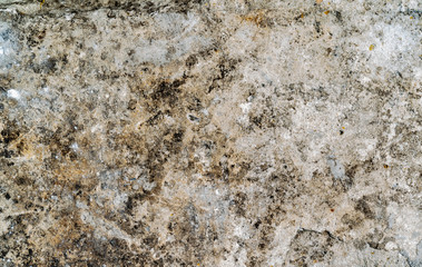 Wall texture. Surface covered different type of mold, spots, patterns. Brown, white, black, orange and others colours. Nice texture for text, design and any purpose