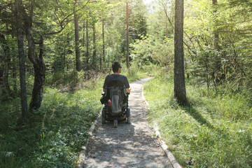 Happy man on wheelchair in nature. Exploring forest wilderness on an accessible dirt path.