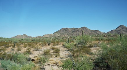 road in mountains, road, highway, mountain, landscape, travel, desert, nature, mountains, route, track, scenic, way, usa, trip, desert, hill, green, cactus,rock, street, outdoors, transportation, view