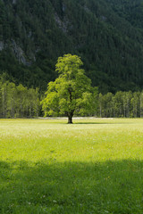 Beautifull Logar valley or Logarska dolina park, Slovenia, Europe. Inspiration travel under Kamnik-Savinja Alps. © 24K-Production