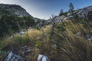 Croatia, Omis old fortress Fortica castle view of sea. beautiful Croatian moutains