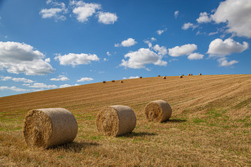 Hay bales in the Sussex countryside on a sunny late summers day
