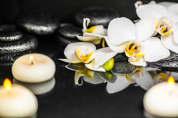 Fototapeta na wymiar close up of spa setting of white orchid (phalaenopsis), candles and black zen stones with drops on water with reflection