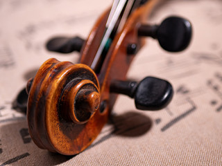 Violine, Schnecke, Makroaufnahme