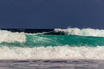 Tropical Waves