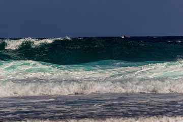 Tropical Waves