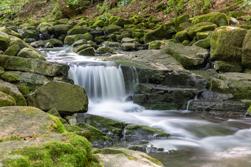 Holzbachschlucht 4