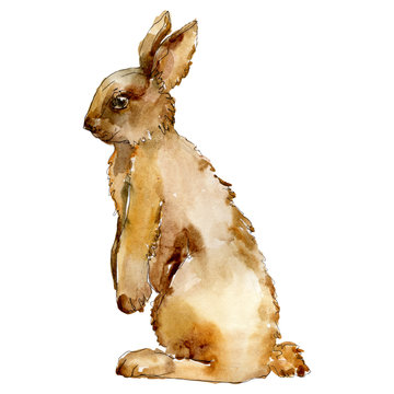 Rabbit farm animal isolated. Watercolor background illustration set. Isolated rabbit illustration element.