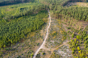 Fototapeta na wymiar country road, view from above