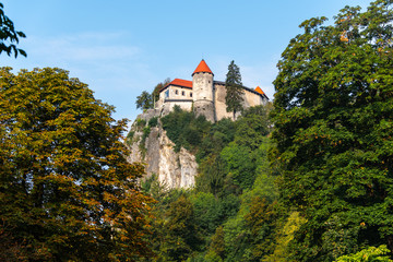 Fototapeta na wymiar Bled Castle