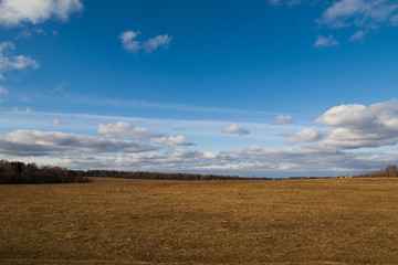 Fototapeta na wymiar Field with dry grass and blue sky with clouds.