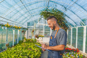 Obraz premium Happy male nursery worker trimming plants in greenhouse