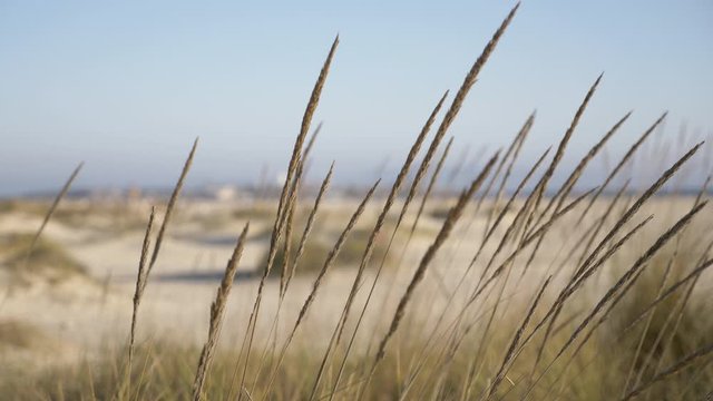 Los Lances Beach. Tarifa. Cadiz. Spain
