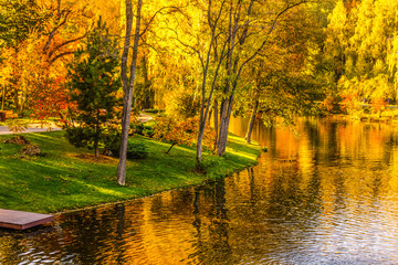 Autumn Landscape in the park