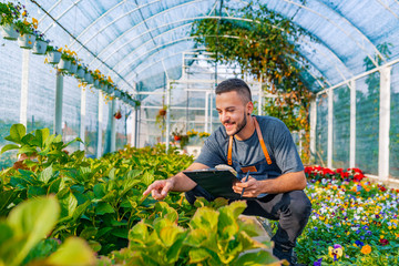 Portrait of a smiling greenhouse worker