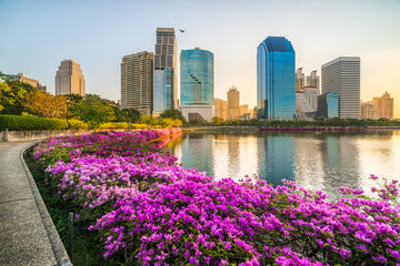 Fototapeta premium Lake with Purple Flowers in City Park under Skyscrapers at Sunrise