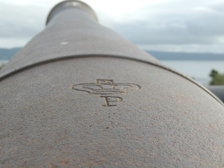 Cañon en Chiloé (1)