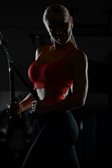 Fototapeta na wymiar pretty caucasian fitness woman pumping up muscles workout fitness and bodybuilding concept gym.