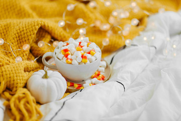 Fototapeta na wymiar Coffee with marshmallow and candy corn and pumpkin on bed with warm plaid. Autumn beverage, Breakfast in bed. Hygge concept.