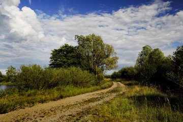 Road to the lake