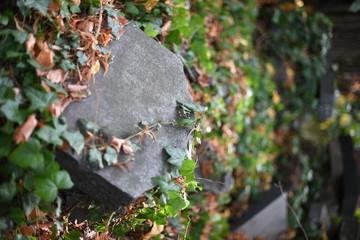 Overgrown tombstones on an old cemetery in Berlin-Germany.