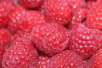 Close up of a Bunch of Red Raspberries
