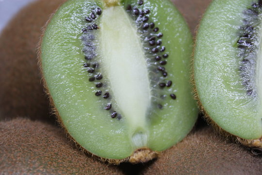 Inside of a Kiwi Fruit 