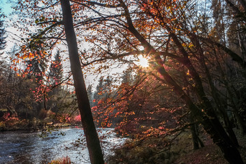 Sonnenuntergang am Fluss