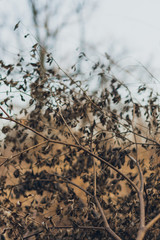 abstract nature background