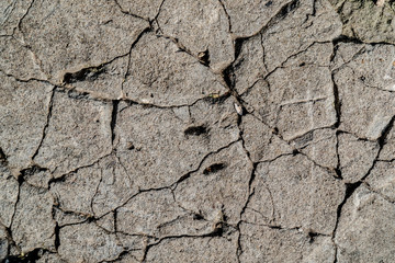 Cracked concrete wall. Cracks covered the surface of the wall. Various scratches, lines, scuffs. Concrete texture
