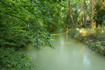 Obraz premium Little river passing through the city park during summer time