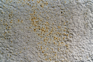 Gray metal texture. Rough coarse surface. Rusty metal. Background for text or design