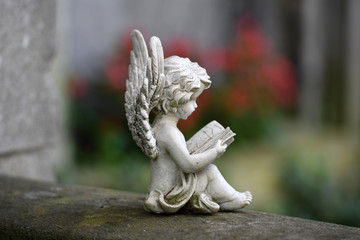 A weathered sculpture of a small, a book reading white angel in front of a green background.