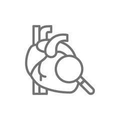 Loupe with heart, heart check line icon.