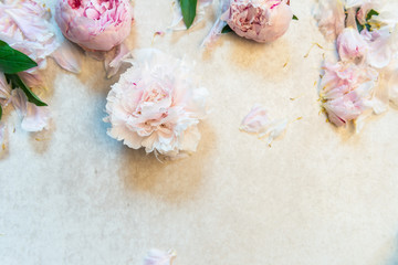 Frame made of pink peony flowers