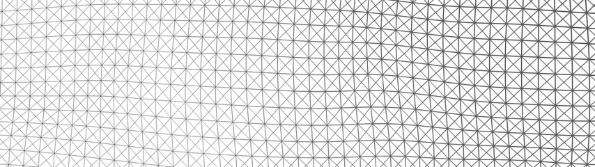 Fototapeta premium Vector perspective grid. Detailed lines on white background.Wave with many lines. Network of lines. Abstract digital background. Connection.