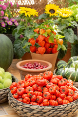 Fototapeta na wymiar Harvest festival, basket with Mock Tomato, physalis fruits, rosehip berries pumpkin flowering asters