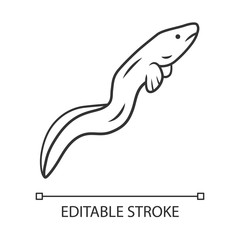 Eel linear icon. Floating snakelike fish. Sea animal. Asian seafood, sushi ingredient. Snake shape creature. Thin line illustration. Contour symbol. Vector isolated outline drawing. Editable stroke