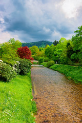 Bridge over river in Gonneranlage Kurpark in Old city of Baden Baden in Baden Wurttemberg in Germany. Cityscape view of green rose garden in Bath and spa German town in Europe. Nature and landscape